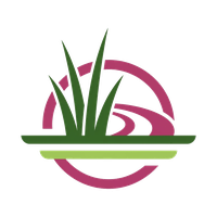 Brownsville Artificial Grass Installation